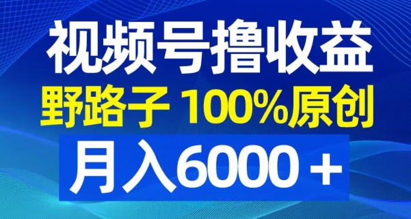 视频号野路子撸收益，100%原创，条条爆款，月入6000＋【揭秘】-八爪鱼资源库