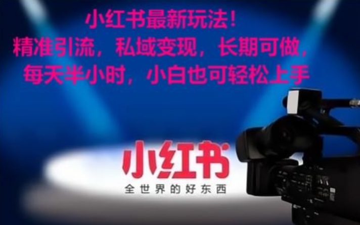 小红书最新玩法！精准引流，私域变现，长期可做，每天半小时，小白也可轻松上手【揭秘】-八爪鱼资源库