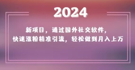 2024新项目，通过国外社交软件，快速涨粉精准引流，轻松做到月入上万【揭秘】-八爪鱼资源库
