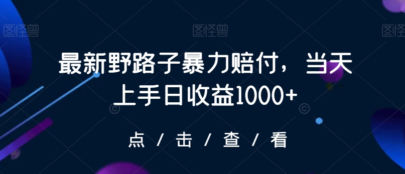 最新野路子暴力赔付，当天上手日收益1000+【仅揭秘】-八爪鱼资源库