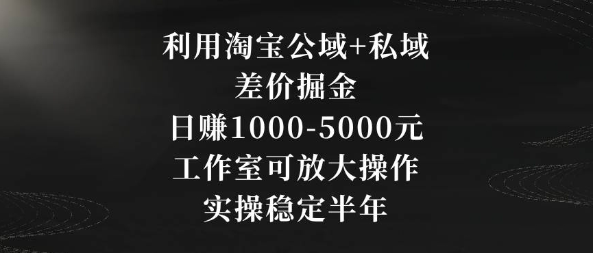 利用淘宝公域+私域差价掘金，日赚1000-5000元，工作室可放大操作，实操稳定半年【揭秘】-八爪鱼资源库