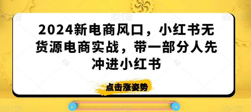 2024新电商风口，小红书无货源电商实战，带一部分人先冲进小红书-八爪鱼资源库