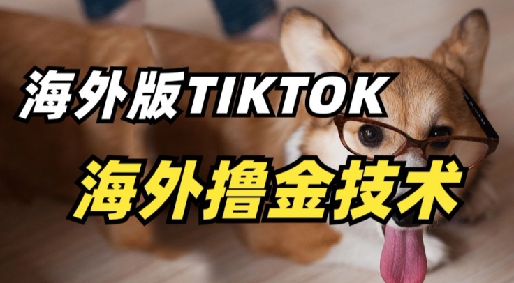 抖音海外版tiktok撸金技术，这个风口行业，赚钱真的不难【揭秘】-八爪鱼资源库