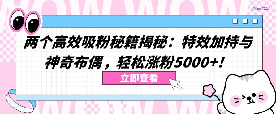 两个高效吸粉秘籍揭秘：特效加持与神奇布偶，轻松涨粉5000+【揭秘】-八爪鱼资源库