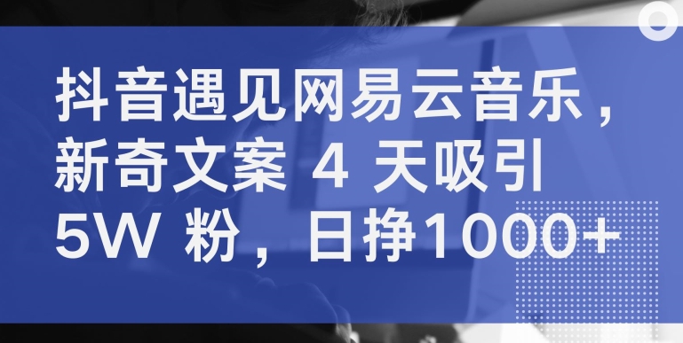 抖音遇见网易云音乐，新奇文案 4 天吸引 5W 粉，日挣1000+【揭秘】-八爪鱼资源库
