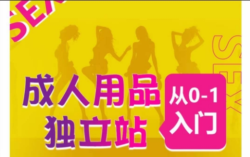 成人用品独立站从0-1入门，成品独立站运营全流程教学，七大好卖成品独立站推荐-八爪鱼资源库