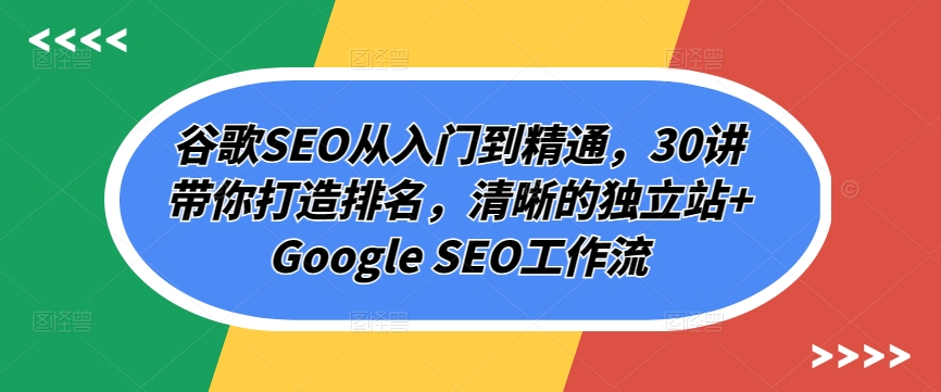 谷歌SEO从入门到精通，30讲带你打造排名，清晰的独立站+Google SEO工作流-八爪鱼资源库