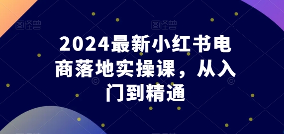 2024最新小红书电商落地实操课，从入门到精通-八爪鱼资源库