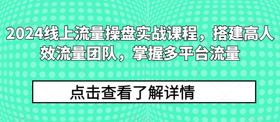 2024线上流量操盘实战课程，搭建高人效流量团队，掌握多平台流量-八爪鱼资源库