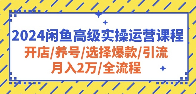 2024闲鱼高级实操运营课程：开店/养号/选择爆款/引流/月入2万/全流程-八爪鱼资源库