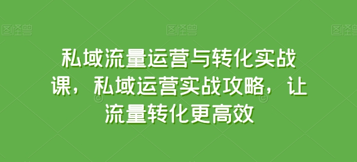 私域流量运营与转化实战课，私域运营实战攻略，让流量转化更高效-八爪鱼资源库
