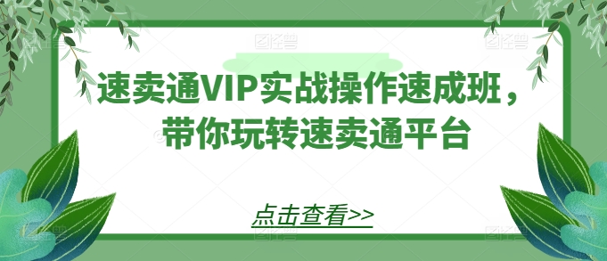 速卖通VIP实战操作速成班，带你玩转速卖通平台-八爪鱼资源库
