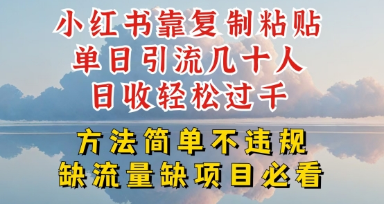 小红书靠复制粘贴单日引流几十人目收轻松过千，方法简单不违规【揭秘】-八爪鱼资源库