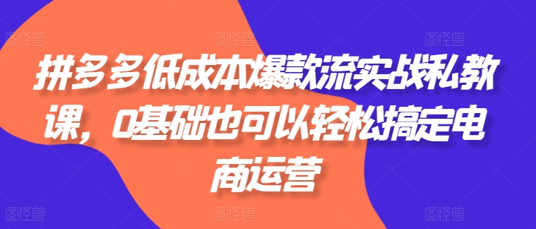 拼多多低成本爆款流实战私教课，0基础也可以轻松搞定电商运营-八爪鱼资源库