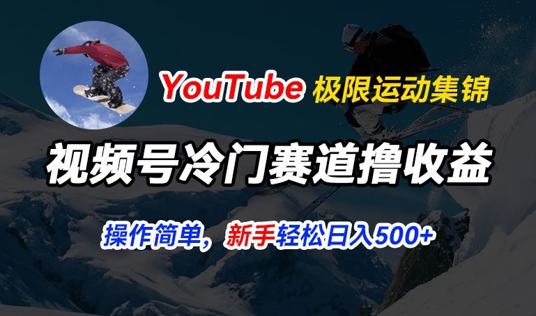 视频号冷门赛道撸收益，YouTube搬运极限运动集锦，暴力起号，操作简单流量高，轻松日入5张【揭秘】-八爪鱼资源库