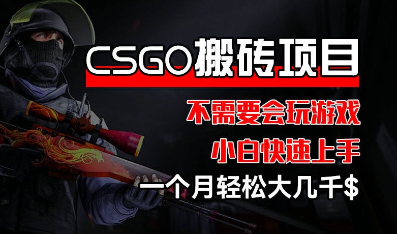 CSGO 装备搬砖项目，操作简单，不需要会玩游戏，小白也能快速上手，一个月轻松大几千【揭秘】-八爪鱼资源库