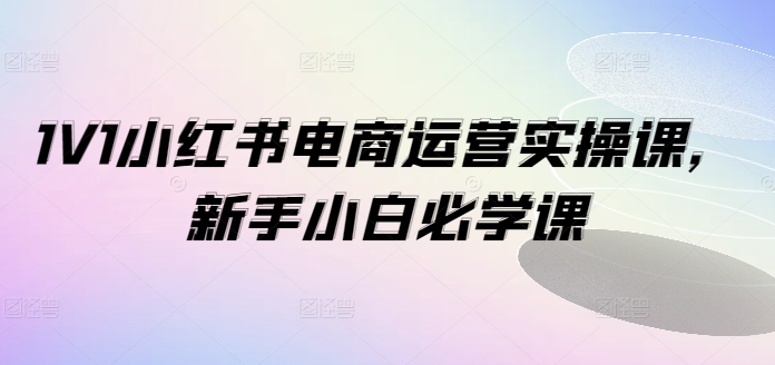 1V1小红书电商运营实操课，新手小白必学课-八爪鱼资源库