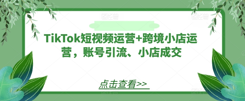 TikTok短视频运营+跨境小店运营，账号引流、小店成交-八爪鱼资源库