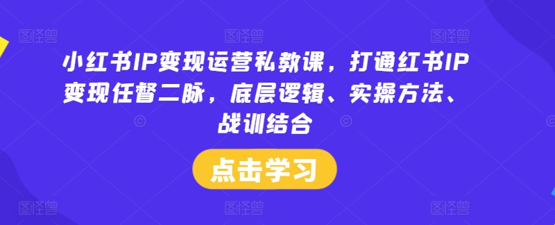 小红书IP变现运营私教课，打通红书IP变现任督二脉，底层逻辑、实操方法、战训结合-八爪鱼资源库