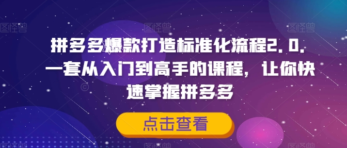 拼多多爆款打造标准化流程2.0，一套从入门到高手的课程，让你快速掌握拼多多-八爪鱼资源库