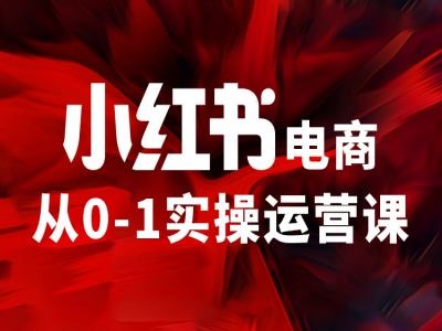 小红书电商从0-1实操运营课，让你从小白到精英-八爪鱼资源库