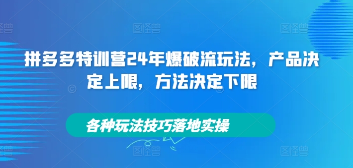 拼多多特训营24年爆破流玩法，产品决定上限，方法决定下限，各种玩法技巧落地实操-八爪鱼资源库