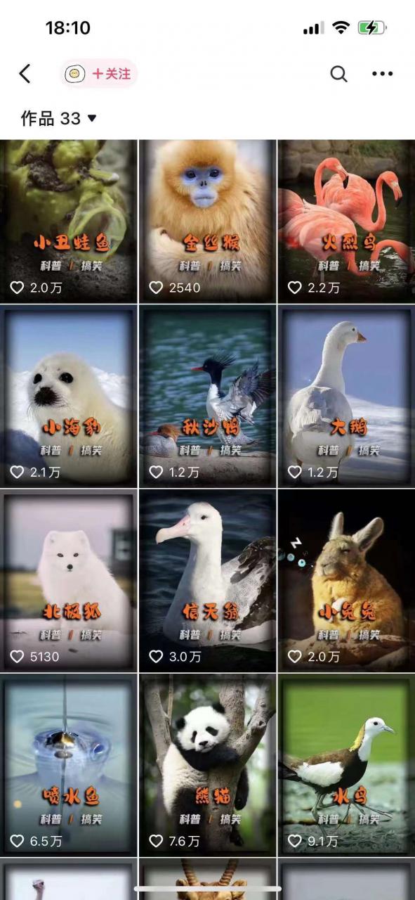 动物科普解说项目，撸创作者伙伴计划收益，保姆级实战教程-八爪鱼资源库