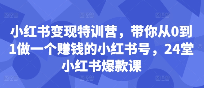 小红书变现特训营，带你从0到1做一个赚钱的小红书号，24堂小红书爆款课-八爪鱼资源库