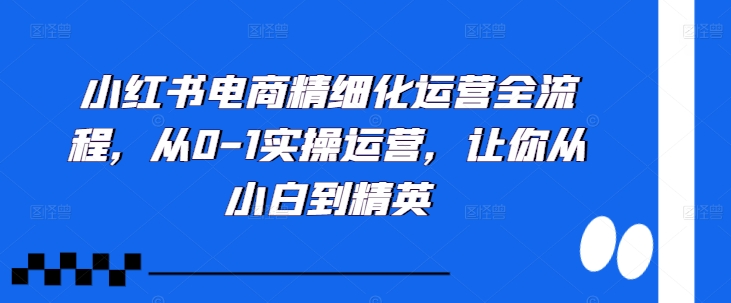 小红书电商精细化运营全流程，从0-1实操运营，让你从小白到精英-八爪鱼资源库
