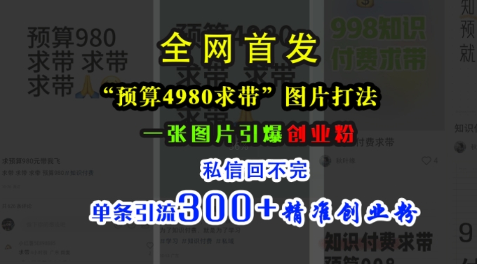 小红书“预算4980带我飞”图片打法，一张图片引爆创业粉，私信回不完，单条引流300+精准创业粉-八爪鱼资源库
