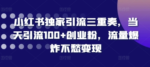 小红书独家引流三重奏，当天引流100+创业粉，流量爆炸不愁变现【揭秘】-八爪鱼资源库