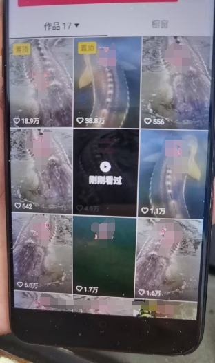 外面卖399的国学佛像原创暴力起号技术，快速起号，7天可达到一个万粉号-八爪鱼资源库