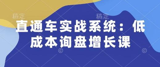 直通车实战系统：低成本询盘增长课，让个人通过技能实现升职加薪，让企业低成本获客，订单源源不断-八爪鱼资源库