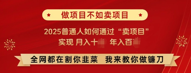 必看，做项目不如卖项目，2025普通人如何通过“卖项目”实现月入十个，年入百个-八爪鱼资源库