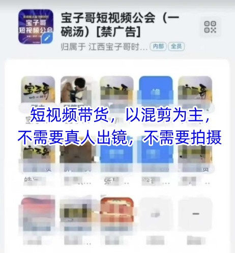 宝子哥头部团队短视频带货，以混剪为主，不需要真人出镜，不需要拍摄【更新11月】-八爪鱼资源库