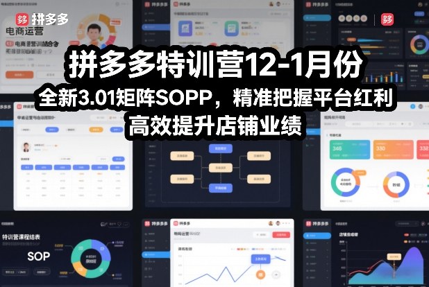 拼多多特训营12-1月份，全新3.01矩阵Sop，精准把握平台红利，高效提升店铺业绩-八爪鱼资源库