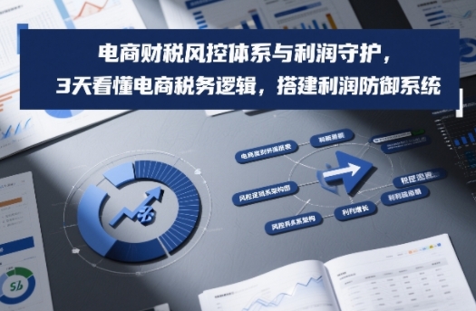 电商财税风控体系与利润守护，3天看懂电商税务逻辑，搭建利润防御系统-八爪鱼资源库