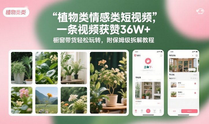 植物类情感类短视频，一条视频获赞36W+，橱窗带货轻松玩转，附保姆级拆解教程-八爪鱼资源库