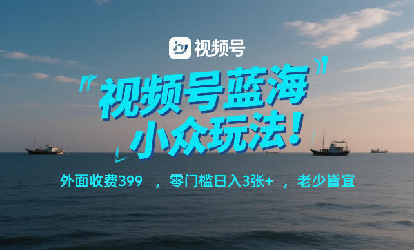 视频号蓝海小众玩法！外面收费399，零门槛日入3张+，老少皆宜-八爪鱼资源库