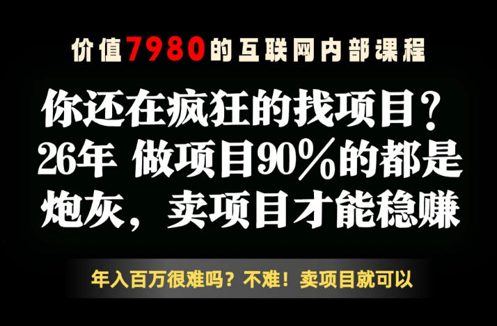 26年请不要疯狂的找项目了，卖项目远比你想象的暴利，你也可以月入10W+【揭秘】-八爪鱼资源库