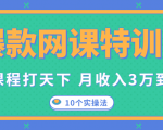 爆款网课特训营，一套课程打天下，网课变现的10个实操法，月收入3万到10万-八爪鱼资源库