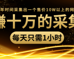 年赚十万的采集站，每天却只需要1小时，一年时间采集出一个售价10W以上的网站-八爪鱼资源库