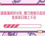 抖音直播间风火轮，暴力微信引流技术，低成本日加上千法-八爪鱼资源库