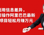 利用信息差异，零投资操作阿里巴巴最新管道项目轻松月赚10000+-八爪鱼资源库