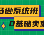 亚马逊系统班，专为0基础卖家量身打造，亚马逊运营流程与架构-八爪鱼资源库