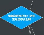臻曦联盟抖音高权重广场号无人直播正规品带货全解-八爪鱼资源库