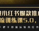 小红书爆款推广引流训练课5.0，手把手带你玩转小红书（17节实操视频+话术）-八爪鱼资源库