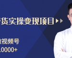 柚子分享课：微信视频号变现攻略，新手零基础轻松日赚千元-八爪鱼资源库