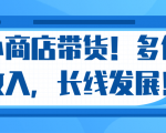 微信小商店带货,爆单多倍收入,长期复利循环!日赚300-800元不等-八爪鱼资源库