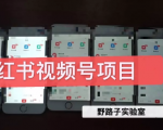 野路子小红书视频号1.0项目，直接上手操作就能赚钱的视频号项目-八爪鱼资源库
